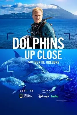 与海豚共舞：贝尔蒂的摄影奇遇，探索《摄影师贝尔蒂与海豚零距离》的深蓝世界