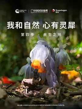 《我和自然 心有灵犀》第四季：共生之地，一场史诗级的生命赞歌与最伟大的对决！